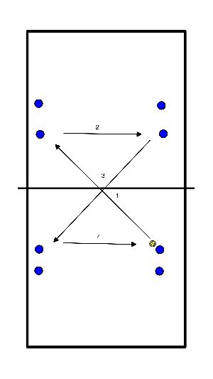 drawing ¡Lanza la pelota y persíguela!