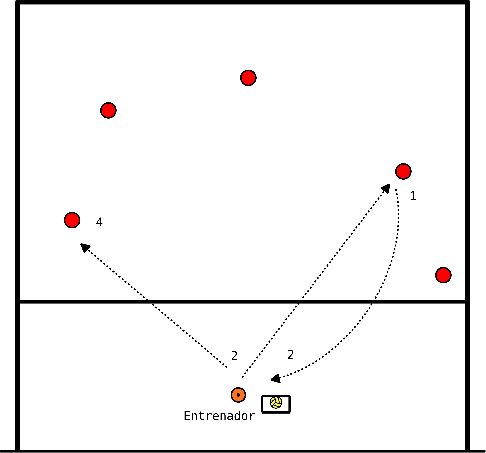 drawing Entrenador y 5 receptoras - Entrenador y 5 receptoras.