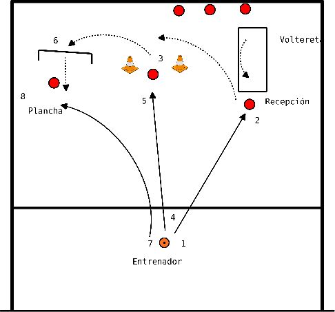 drawing Circuito: Voltereta, recepción, precisión y plancha hacia adelanteResultado: Voltereta, recepción, precisión y plancha hacia adelante.