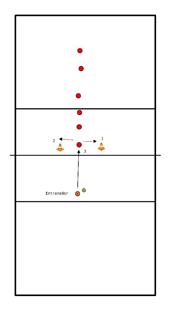 drawing Recepción bajo la red con conos.