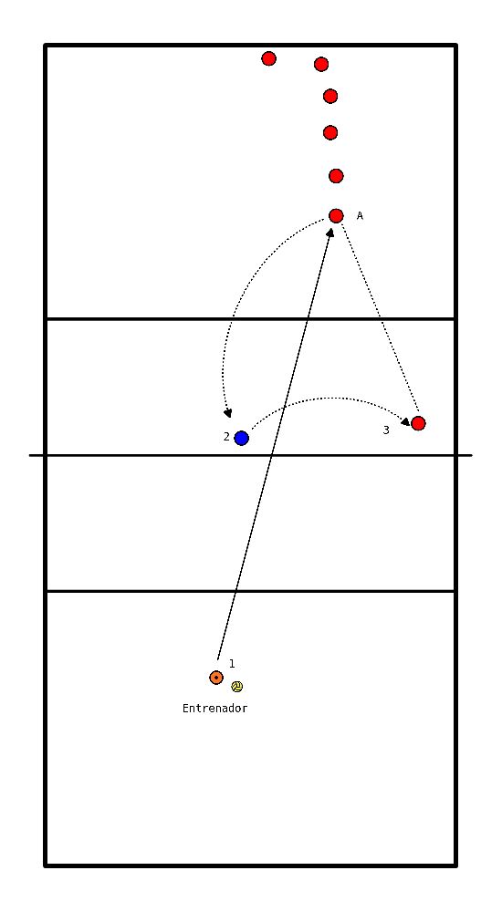 drawing Recepción y movimiento