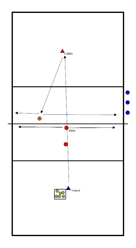 drawing Battre avec libéro et blocs